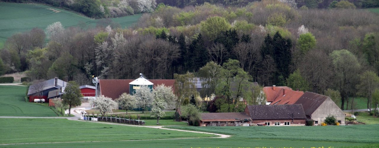 To warto wiedzieć o ubezpieczeniu budynków rolnych