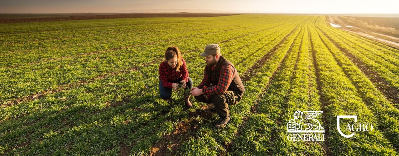 Promocyjna jesień z Generali Agroprogram i Zakupy z Biedronką